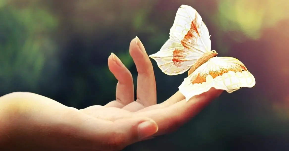 Скільки часу займає розробка сайту: реальні терміни та від чого вони залежать