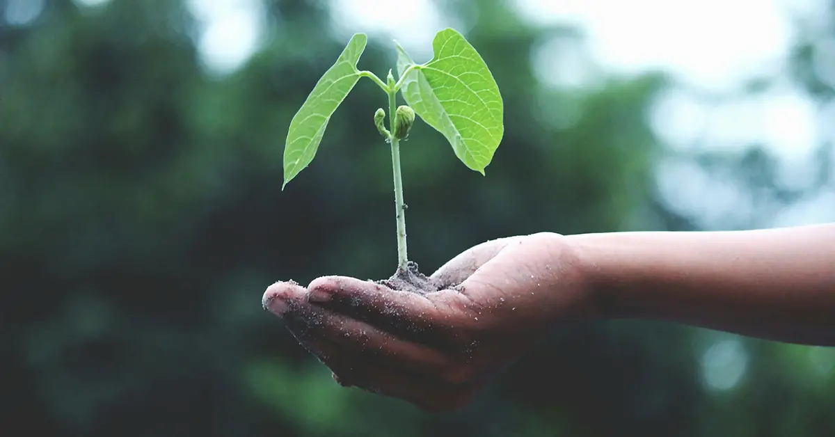 Як відбувається технічна SEO-оптимізація сайту: покроковий огляд